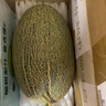 京鮮生 哈密瓜西州蜜25號 凈重6-7斤1-2粒裝 源頭直發(fā)包郵 曬單實拍圖