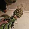 橙尚宮正宗海南金鉆鳳梨新鮮水果手撕鳳梨甜蜜蜜香水金菠蘿 5斤寶寶果【3-5個(gè)】實(shí)惠超值 曬單實(shí)拍圖