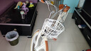 飛鴿（FLYING PIGEON）自行車成人通勤車自行車學(xué)生單車成人自行車通勤自行車女士自行車 豪華奶油米|6速|(zhì)一體輪+禮包 26寸適合160-185cm 曬單實(shí)拍圖