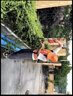 德力西充電式綠籬機電動修剪機園林綠化剪茶葉背負式茶樹修粗枝機籬笆剪 【背負式48V 12AH】雙刃修剪機 渠道專供】采茶/林業(yè)/綠化隊專用 曬單實拍圖