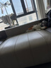 小億小億S2汽車內飾清洗劑翻新清潔真皮座椅皮革翻毛頂棚免洗去污 S2內飾清潔劑 596ml 1瓶 曬單實拍圖
