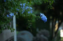 索尼（SONY）  Alpha 6700 APS-C半畫(huà)幅微單相機(jī)AI智能芯片 強(qiáng)悍對(duì)焦A6700/a6700L /6700m A6700M【88+128G+肩帶+屏+D11】 官方標(biāo)配 曬單實(shí)拍圖