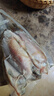 微山湖野生鯽魚土漁民捕撈活魚現(xiàn)殺凈膛滋補(bǔ)燉湯400g/袋 中號(hào)【4-6條/400g】400g*3袋 曬單實(shí)拍圖
