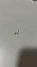 Lnieer999足銀芒星耳線養(yǎng)耳洞耳環(huán)輕奢小眾耳釘女2025新款高級感銀耳飾 【999足銀】星芒耳線一對 曬單實拍圖