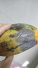 久雅優(yōu)鮮正宗金煌芒 廣西芒果青皮芒果老樹上現(xiàn)摘現(xiàn)發(fā)應(yīng)季時(shí)令生鮮水果 4.5-5斤（150-250g+） 曬單實(shí)拍圖