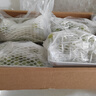 京鮮生 陽(yáng)光玫瑰葡萄 青提6斤禮盒裝 單果約10g 生鮮水果 新鮮水果 曬單實(shí)拍圖