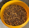 新鴿子糧20斤無(wú)玉米鴿糧有玉米鴿子飼料賽飛營(yíng)養信鴿成幼鴿糧5斤 無(wú)小麥無(wú)玉米優(yōu)質(zhì)鴿糧 10斤 曬單實(shí)拍圖