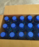 脈動(dòng)三口味青檸桃子雪柚橘子600ML*15瓶低糖維生素運(yùn)動(dòng)飲料宋雨琦同款 曬單實(shí)拍圖