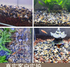 瘋狂水草（FKSC）溪流石頭魚缸沙子底砂底沙溪流沙魚缸造景觀裝飾溪流缸造景石套餐 曬單實拍圖