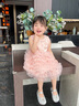 班喜迪女童連衣裙夏裝新款洋氣寶寶公主裙小女孩裙子夏季兒童網(wǎng)紗蓬蓬裙 粉色 90 曬單實(shí)拍圖
