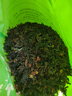 墨源海藻中藥材海藻干天然海澡海草菜海藻絲烏菜海帶花新鮮干貨搭昆布 海藻500克【新貨】 曬單實(shí)拍圖