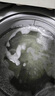 宮本武藏洗衣機(jī)清洗劑消毒殺菌除垢劑強(qiáng)力滾筒直筒波輪洗衣機(jī)專用 曬單實(shí)拍圖
