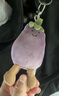 Jellycat活潑茄子包包掛飾食物蔬菜毛絨玩偶掛件公仔生日新婚禮物 活潑茄子包包掛飾 One Size 曬單實(shí)拍圖