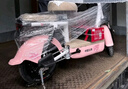 飛鴿E75智能電動(dòng)自行車以舊換新45公里長(zhǎng)續(xù)航電動(dòng)車鉛酸電池48V12Ah新國(guó)標(biāo)上班代步輕便電瓶車櫻花粉 曬單實(shí)拍圖