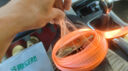 齊魯安然貨物捆綁帶貨車緊繩器加厚棘輪拉緊器繃帶收緊器 寬2.5cm棘輪5米 曬單實(shí)拍圖