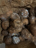 三萌果蔬2025現(xiàn)挖新鮮牛奶芋頭云南高山小芋頭仔小香芋芋粉早餐 5斤甄選果【單果30-50g】?jī)?.5斤 曬單實(shí)拍圖