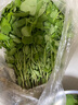 荊芥菜新鮮河南大葉荊芥葉菜調(diào)味涼拌菜莖芥鮮嫩現(xiàn)挖現(xiàn)發(fā)帶根 新鮮現(xiàn)挖荊芥  【 2斤】 曬單實拍圖