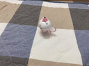 名創(chuàng)優(yōu)品（MINISO）Chiikawa快樂伙伴盲盒手辦桌面擺件玩具送禮生日禮物男女 快樂伙伴系列單盒(隨機(jī)) 曬單實(shí)拍圖