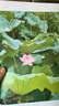 佳能（Canon）LBP621Cw彩色激光打印機(jī)A4幅面家用（打印/大容量進(jìn)紙） 【LBP621Cw】彩色激光 無(wú)線 官方標(biāo)配 曬單實(shí)拍圖