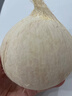 海南牛奶椰皇新鮮椰青白當季煲雞湯老椰子肉椰寶椰汁孕婦水果整箱 500-800g(大果｜肉厚多汁) 2個（送軟刀+吸管｜冷藏口感好） 曬單實拍圖