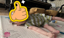 巴厘小豬寶寶夏裝男寶背心哈衣女寶無袖薄款連體衣幼兒外出服夏季嬰兒衣服 灰黃交響樂 80cm 曬單實拍圖