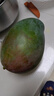 【新鮮上市】正宗攀枝花凱特芒果新鮮水果 帶箱2斤200g+ 曬單實(shí)拍圖