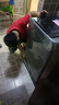 TCL12公斤大容量抗菌洗衣機(jī)V2R一級能效除螨洗 波輪洗衣機(jī)全自動家用 節(jié)能省電 宿舍租房 以舊換新 B120V2R 曬單實(shí)拍圖