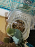 BIRDSTORY鸚鵡外置防濺食盒喂食器谷殼分離虎皮洗澡盆專用洗澡神器用品大全 防濺防撒【可洗澡/喂食】白色 曬單實拍圖