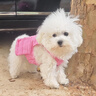 MIKI PAD狗狗衣服小型犬夏季薄款衣服戶外馬甲春秋透氣泰迪比熊可牽引 玫紅馬甲 M胸圍35cm（參考體重4-6斤） 曬單實拍圖