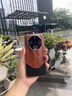 詔絢華為mate60pro手機(jī)殼新款油蠟皮Mate60真皮鏡頭全包mate60pro+高端防摔保護(hù)套 【貴氣棕】玄武金屬丨進(jìn)口油蠟皮 華為Mate60Pro 曬單實拍圖