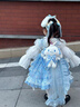 G.DUCKKIDS童裝洛麗塔公主裙女童連衣裙春秋季新款玉桂狗萬圣節(jié)服裝蓬蓬裙女 裙子+打底襯衣 130尺碼7~8歲【120-130cm】 曬單實拍圖