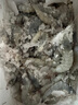 鯨口大開【青島蝦】超大蝦新鮮大蝦冷凍鮮活青島大蝦批發(fā)整箱基圍蝦青蝦 15-17厘米鮮蝦速凍 3斤(凈重) 曬單實拍圖