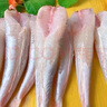 【刺少肉多】新鮮紅娘魚(yú)紅娘子魚(yú)去頭去皮去內臟紅頭魚(yú)海魚(yú)批發(fā) 3000g 【無(wú)冰凈重6斤】 【每斤8-10條】新鮮海捕凈重無(wú)冰衣 曬單實(shí)拍圖