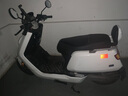 猛芯小牛鋰電池N1S電動(dòng)車(chē)G1/G2/F2/nqi電瓶F0/G0/F200/48v非原裝F100 N1/N1S/NQI【60V】 【32AH】參考路程65-85KM送5A充 曬單實(shí)拍圖