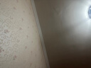 COTOONS托腹帶孕婦專用乳膠孕中期晚期護(hù)肚子恥骨痛拖腹部帶腰帶背帶 灰色M碼（90-145斤) 曬單實(shí)拍圖