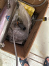 四季沐歌（MICOE）廚房洗菜盆下水管配件水槽水池下水器雙槽洗碗池管道套裝 曬單實(shí)拍圖