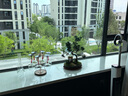 瀚林怡景（HANLINYIJING）小葉雀舌羅漢松盆景植物樹樁造型老樁室內(nèi)綠植客廳辦公室桌面盆栽 雀舌羅漢松S型-牧童晚歸-木座 曬單實(shí)拍圖