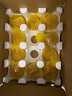 京鮮生 山東海陽普羅旺斯西紅柿 凈重3斤 單果125g起 沙瓢番茄 源頭直發(fā) 曬單實拍圖
