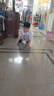 獸無(wú)人機(jī)遙控四軸飛行器 高清航拍--青少年科學(xué)競(jìng)賽無(wú)人機(jī)SG500max灰色雙電（航拍版） 曬單實(shí)拍圖