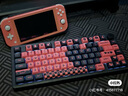 雷蛇（Razer）掘土黃蜂V3大號(hào) 游戲鼠標(biāo)墊 曬單實(shí)拍圖
