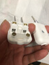 BULL公牛公牛插頭三腳10A兩腳相二角三項(xiàng)工業(yè)家用電源16A空調(diào)插頭接線 【一個(gè)】10A兩腳插頭 GNT-10L1G 曬單實(shí)拍圖