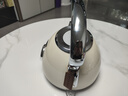 SCHNEIDER電熱水壺復古燒水壺304不銹鋼1.8L防干燒辦公室家用自動恒溫SWK-XS04P 曬單實拍圖