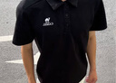 駱駝男裝245g重磅POLO衫男士春夏新款戶(hù)外透氣翻領(lǐng)短袖t恤男 幻影黑 男女同款 L 曬單實(shí)拍圖