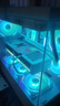 七彩虹（Colorful）酷睿15代U7 265K RTX5060TI/5070TI/5080 5090D顯卡 電競游戲黑神話(huà)悟空AI設計臺式電腦組裝機 配三：U7 265K丨32G丨5080 官方全 曬單實(shí)拍圖