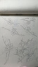 【新華正版】中國(guó)畫(huà)白描入門描摹本國(guó)畫(huà)工筆國(guó)風(fēng)工筆畫(huà)白描底稿線描臨摹畫(huà)冊(cè)底稿線稿描紅基礎(chǔ)書(shū)初學(xué)水墨畫(huà)冊(cè)毛筆繪畫(huà)練習(xí)教材 【2冊(cè)】花卉篇+動(dòng)物篇 曬單實(shí)拍圖