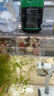 漢洋魚(yú)缸過(guò)濾材料水族細菌屋全套魚(yú)池濾材養魚(yú)用品帶網(wǎng)袋15合1 曬單實(shí)拍圖