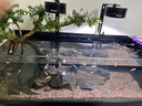 喜尊二代硝化細菌魚(yú)缸養魚(yú)用消化細菌水族凈水劑水質(zhì)穩定劑硝化菌淡海 二代硝化細菌360ml 曬單實(shí)拍圖