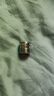 左圓右方（CISQU）黃銅起泡器凈水器洗衣機轉接頭M20/22/24細牙外內牙轉4分粗牙配件 外細20轉外粗4分 曬單實(shí)拍圖