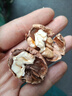 薄皮核桃原味堅果零食云南老樹(shù)核桃自然丑核桃零添加健康美味營(yíng)養 5斤云南特產(chǎn)紙皮核桃包郵嘗鮮 曬單實(shí)拍圖