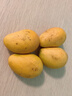正宗海南小臺農芒果新鮮水果芒果小臺芒生鮮 【9斤大果】?jì)糁?.5斤（單果90g以上） 曬單實(shí)拍圖